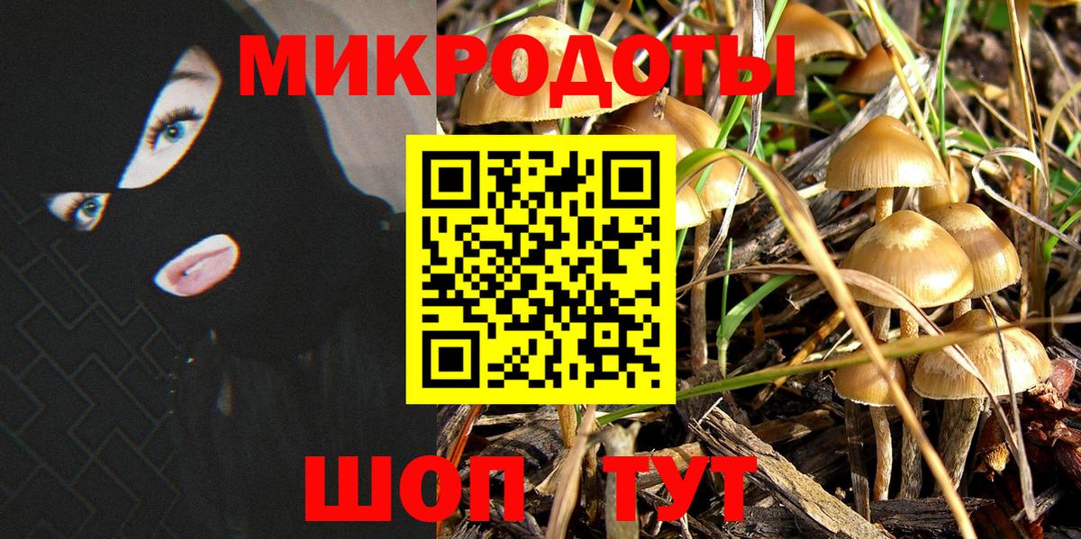 Галлюциногенные грибы MAGIC MUSHROOMS Кудрово
