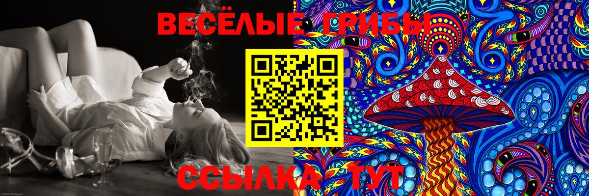наркотики  Псилоцибиновые грибы Magic Shrooms  Вход с VPN  Кудрово  Псилоцибиновые грибы Cubensis 